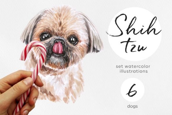 Bringing Shih Tzu Charm to Life with Watercolor Illustrations