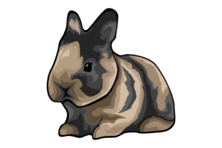 Rabbit Illustrations: A Playful Design Asset for Modern Brands