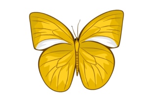 The Radiant Appeal of Butterfly Illustrations - Yellow